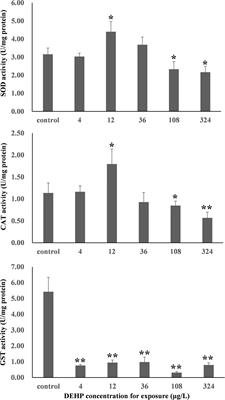 Dose-Dependent Effects of Di-(2-Ethylhexyl) Phthalate (DEHP) in Mussel Mytilus galloprovincialis